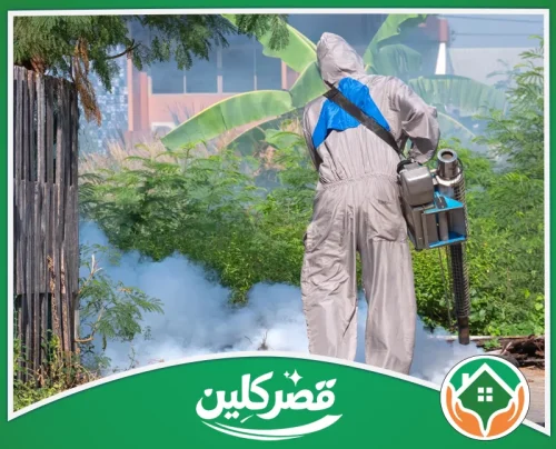 مكافحة بق الفراش بالرياض - قصر كلين فني يرتدي ملابس حماية رمادية أثناء رش حديقة خارجية بجهاز الضباب الحراري.