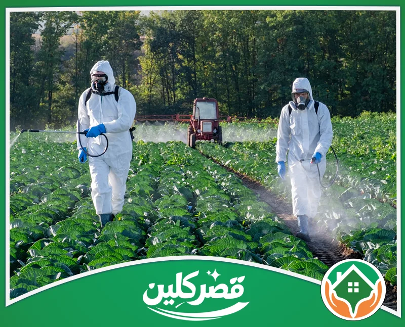 مكافحة الصراصير بالرياض 0550575548 قصر كلين عاملان ببدلات وقاية كاملة يرشان حقل كرنب بالمبيدات، وخلفهما جرار زراعي أحمر وسط الأشجار الكثيفة.