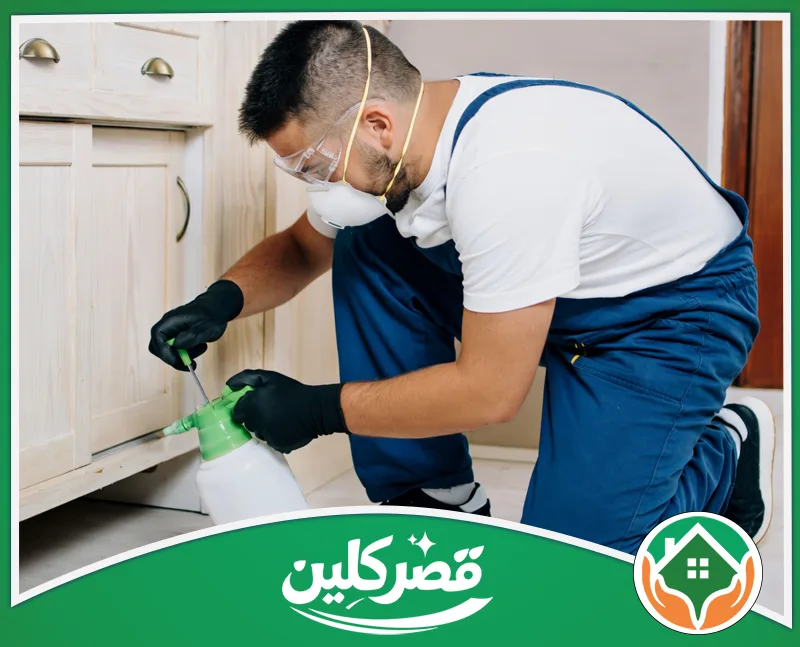 فحص وتشخيص العتة قبل المكافحة بالرياض 0550575548 قصر كلين عامل محترف يرتدي كمامة ونظارة واقية، يقوم برش مبيد الحشرات بدقة أسفل الخزائن الخشبية لضمان بيئة منزلية آمنة ونظيفة.