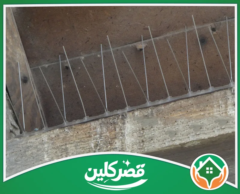 تركيب شبك حماية ضد الطيور بالرياض 0550575548 قصر كلين مصدات حماية بلاستيكية مدببة لمنع وقوف وتعشيش الطيور والحمام فوق الحواف والأسطح الخشبية بفاعلية وأمان.