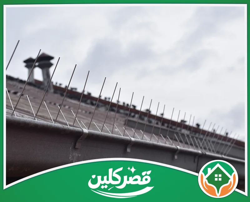 تركيب طارد حمام للمكيفات بالرياض 0550575548 قصر كلين أشواك معدنية طاردة للطيور مثبتة على حافة سطح المبنى، لحمايته من الأوساخ والطيور المزعجة بطريقة آمنة.