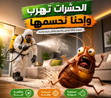 مكافحة الحشرات والقوارض